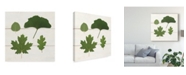 Trademark Global Wild Apple Portfolio Leaf Chart V Shiplap Canvas Art - 15" x 20"